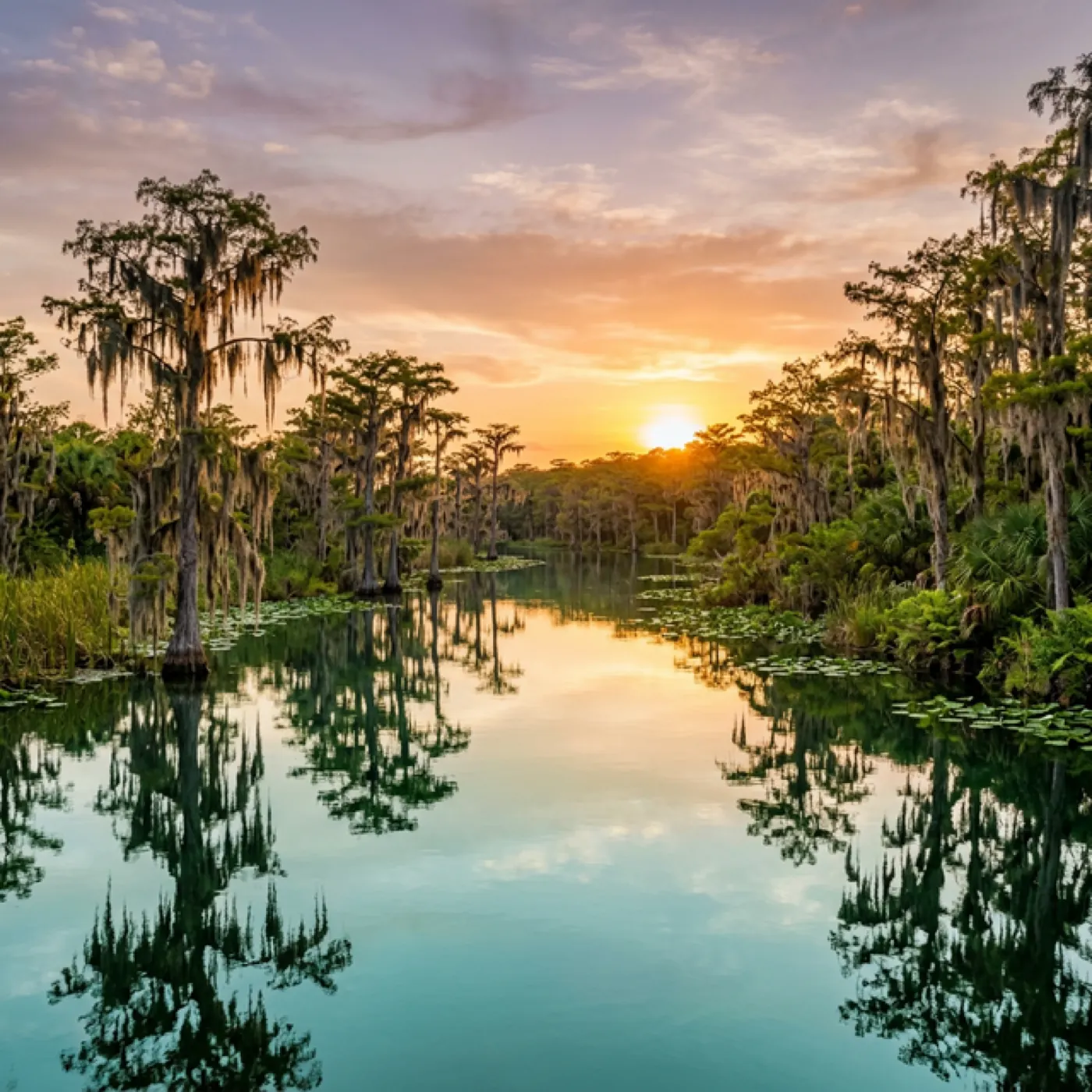 Scenic landscape representing Florida
