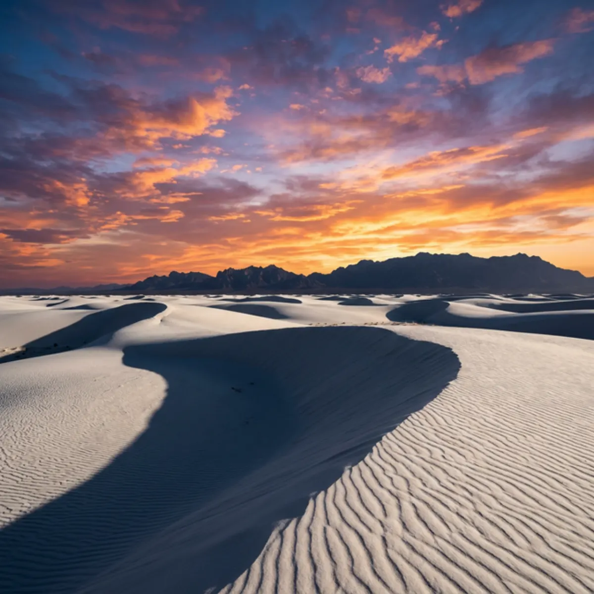 Scenic landscape representing New Mexico