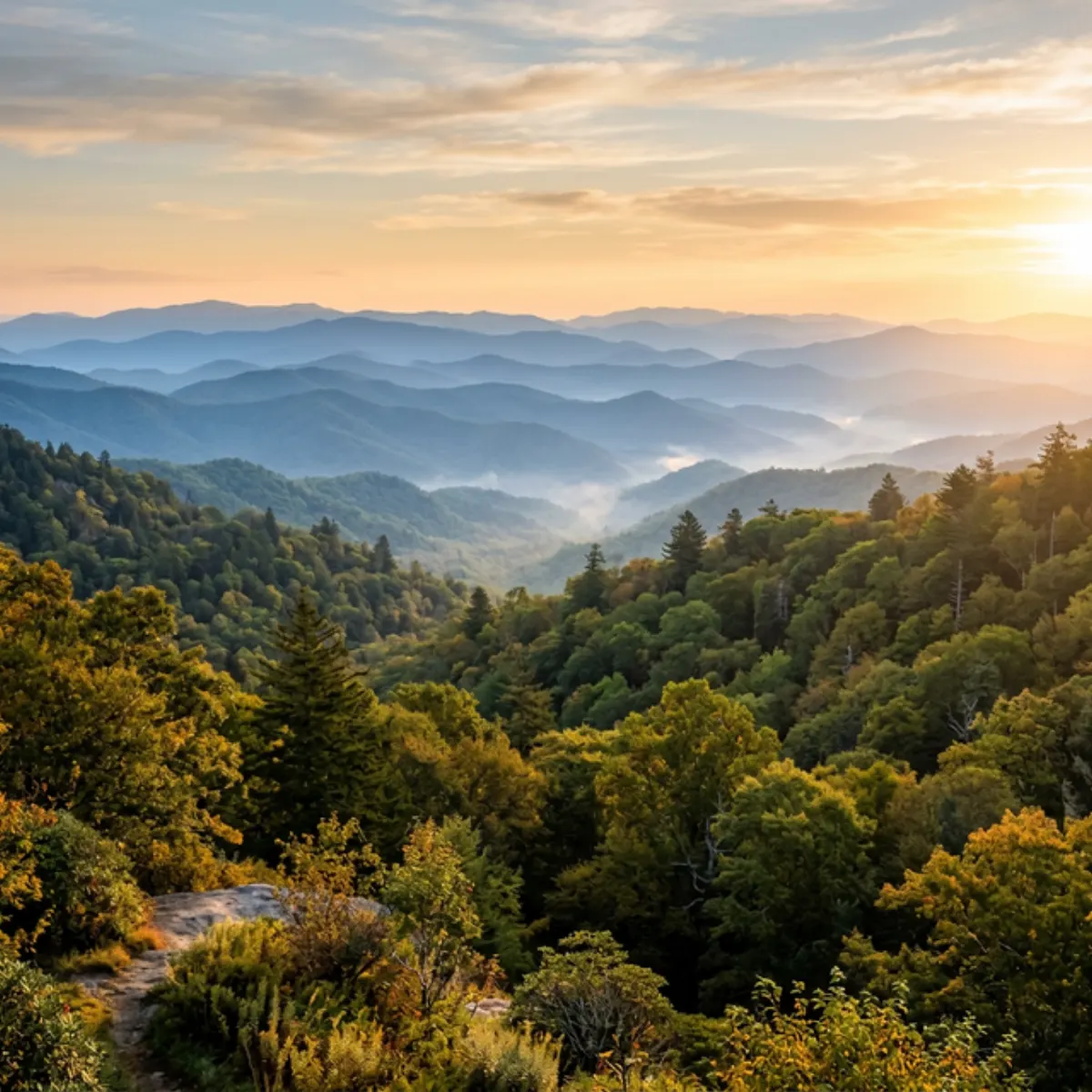 Scenic landscape representing Tennessee
